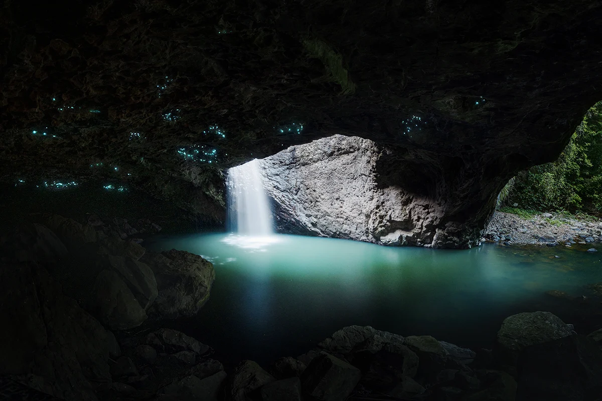 Springbrook National Park - Natural Bridge glow worms