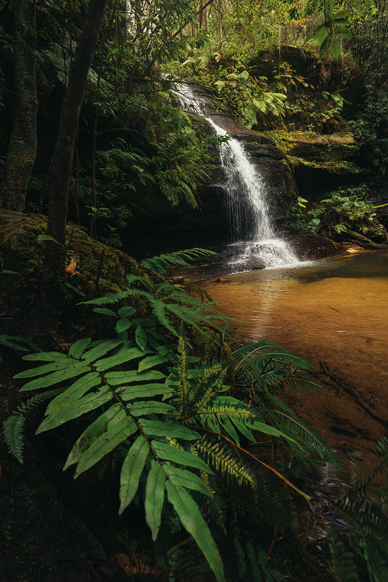 Blue Mountains - Pool of Siloam