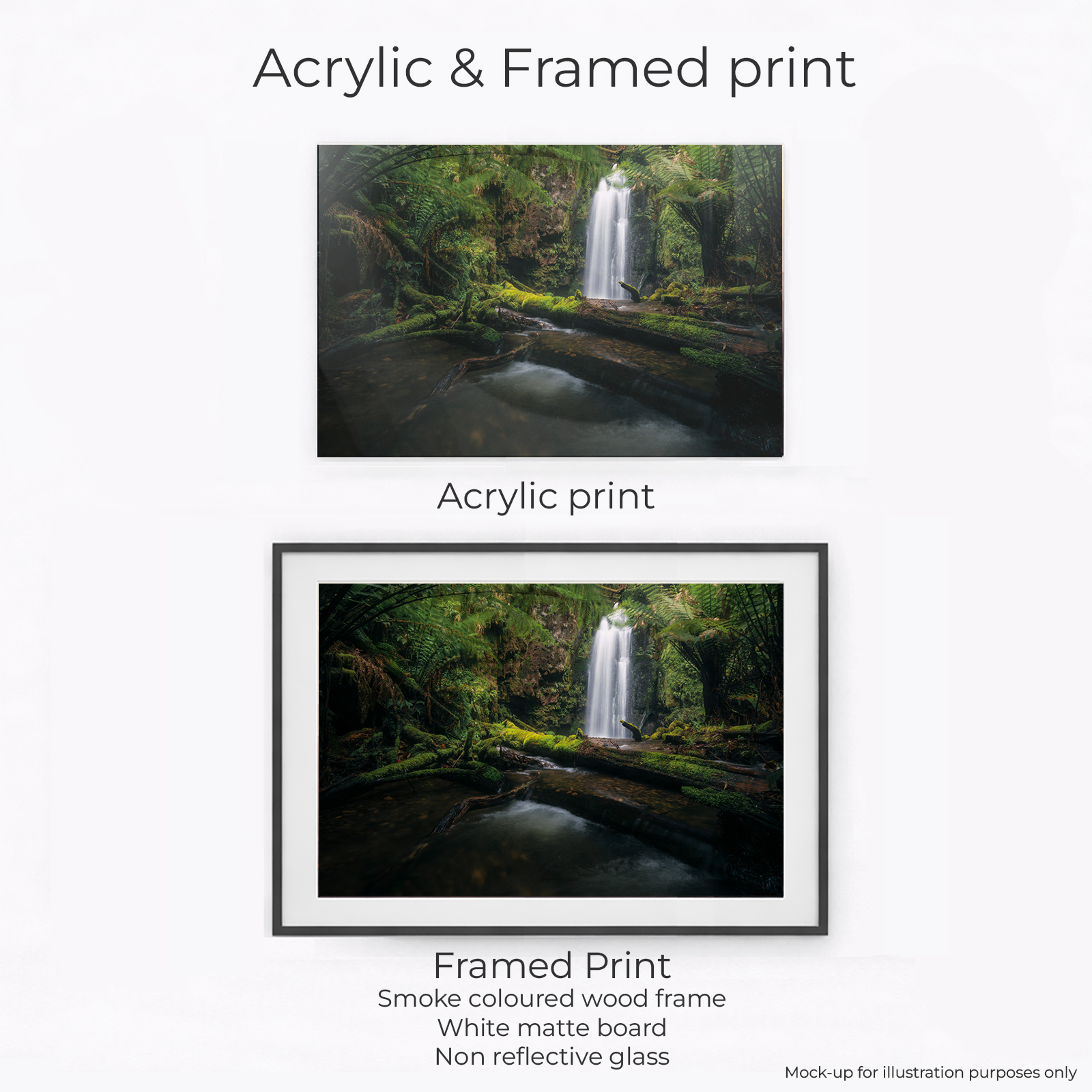 Otways - Wild Dog Falls River - Image 2