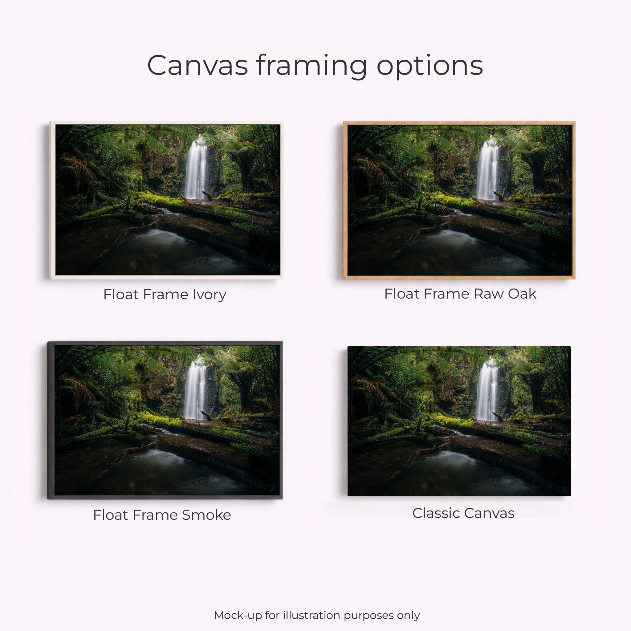 Otways - Wild Dog Falls River - Image 3